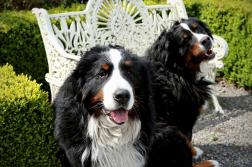 Bród and Síoda 2020