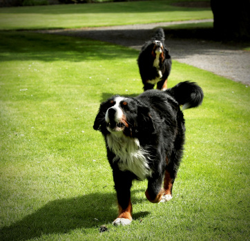 Bród and Síoda 2020