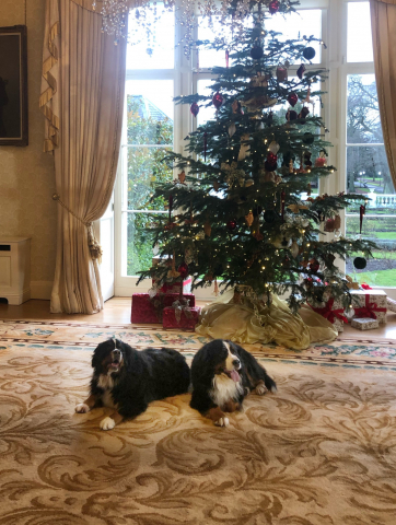 Bród agus Síoda 2019