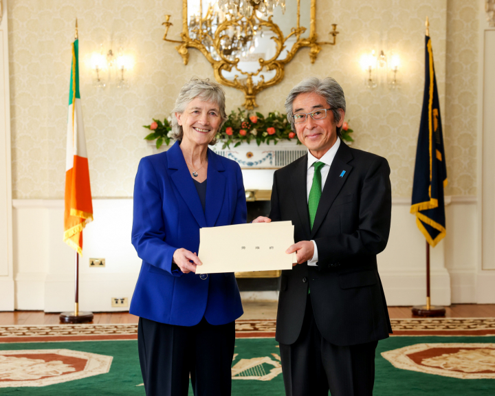 Ambassadors Present their Credentials