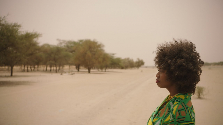 Óstálann an tUachtarán léiriú den scannán faisnéise “The Great Green Wall”