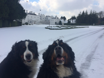 Bród and Síoda 2018