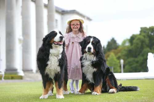 Pictured before meeting the President and enjoying the President's two dogs Shadow and Brod was the Grand Niece of Sabina Higgins Esme McKiernan Becker.