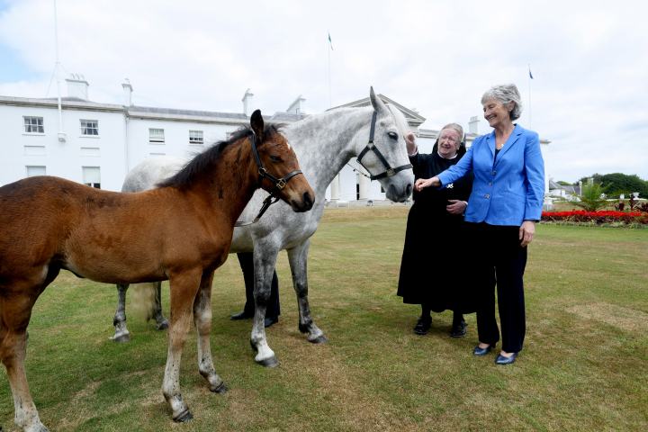 President Connolly receives Connemara ponies from Kylemore Abbey
