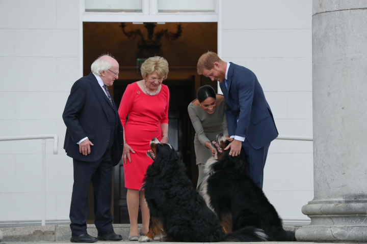 President & Sabina Higgins receive TRH The Duke & Duchess of Sussex on a Courtesy Call