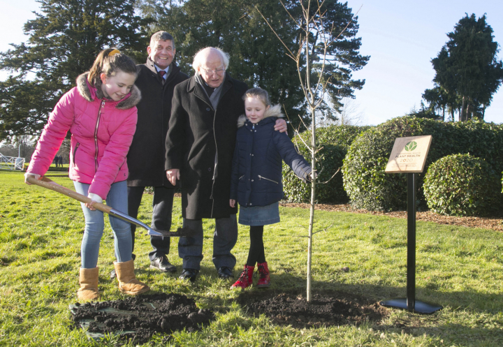 Tugann an tUachtarán aitheantas do Bhliain Idirnáisiúnta na Náisiún Aontaithe um fholláine plandaí 2020, le searmanas plandála crann