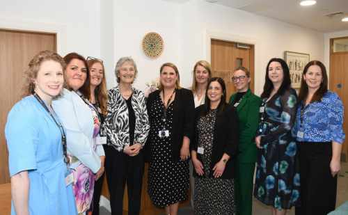 President Connolly attends the first National Barnahus Study Day  