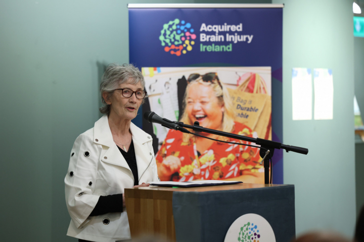 President Connolly opens Acquired Brain Injury Ireland Art Exhibition