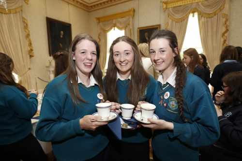 Pictured (l-r) was Young Social Innovators (YSI)  Evelyn Sheridan, Aoife McPhilips and Karrie Nolan From Largy College from Monaghan