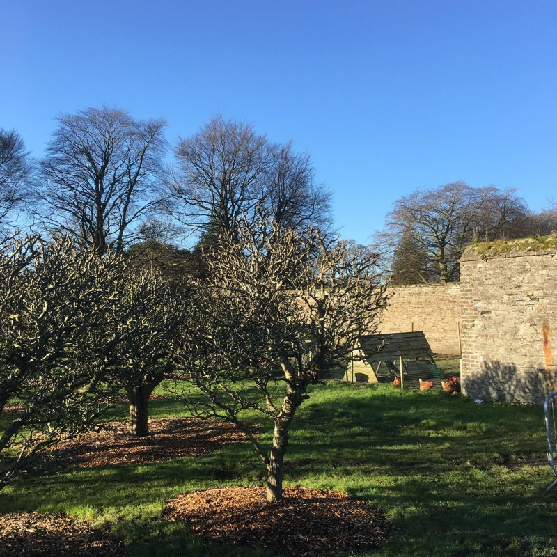 Áras Kitchen Garden has retained its certified organic status for 2016