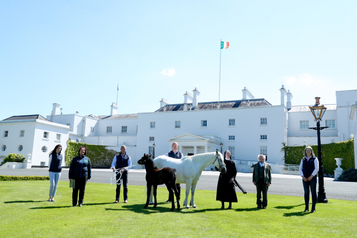 Seolann an tUachtarán comhpháirtíocht nua idir Mainistir na Coille Móire agus Áras an Uachtaráin