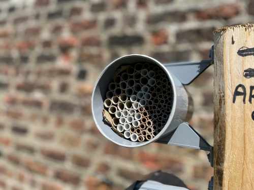 “Bee Hotels” have been installed in the grounds of Áras an Uachtaráin